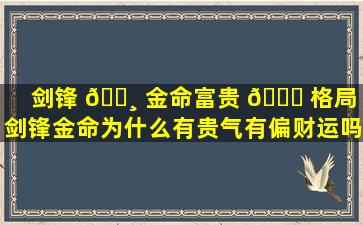 剑锋 🌸 金命富贵 🍁 格局（剑锋金命为什么有贵气有偏财运吗）